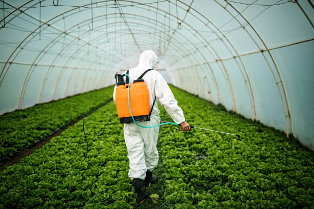 Best Local Pest Control Services  in Fulton, IL