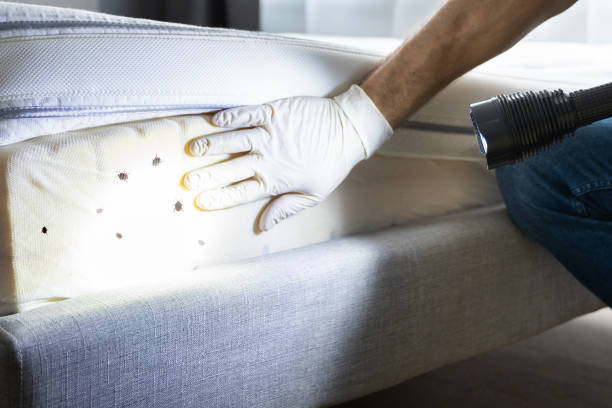 Best Pest Control Near Me  in Fulton, IL