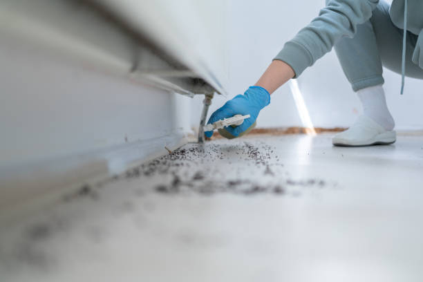 Trusted Fulton, IL Pest Control Experts